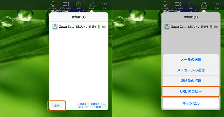 参加者の招待方法