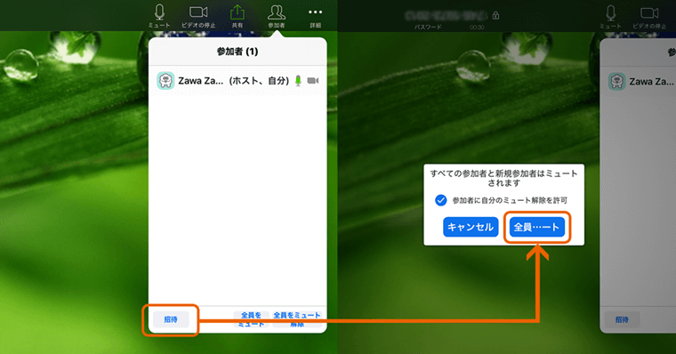 参加者のマイクミュート