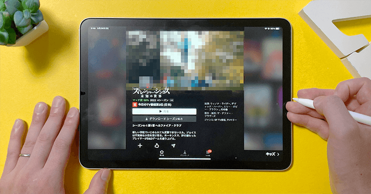 iPadおすすめアプリ～動画鑑賞・VOD編～ Netflix