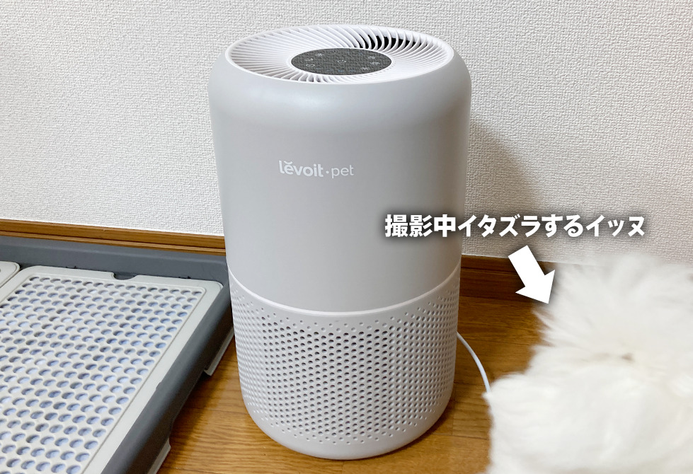 ペット向け|レボイト(Levoit P350)空気清浄機レビュー! 室内犬・猫のニオイ対策