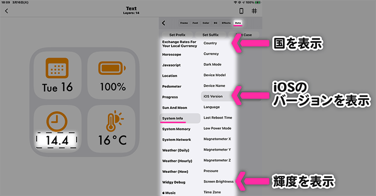 Widgy データタブの説明